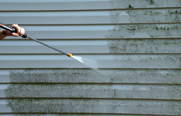 Best Patio and Deck Pressure Washing  in Treasure Island, FL