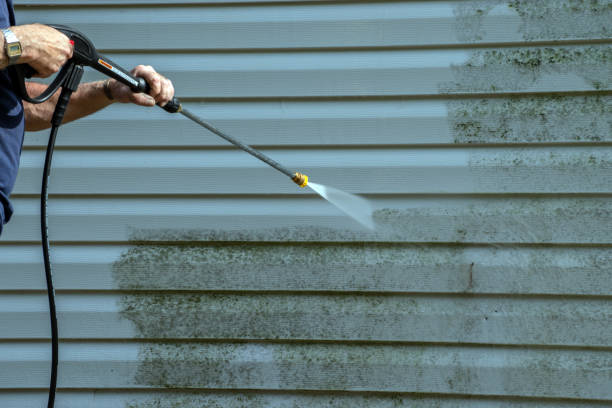Best Driveway Pressure Washing  in Treasure Island, FL